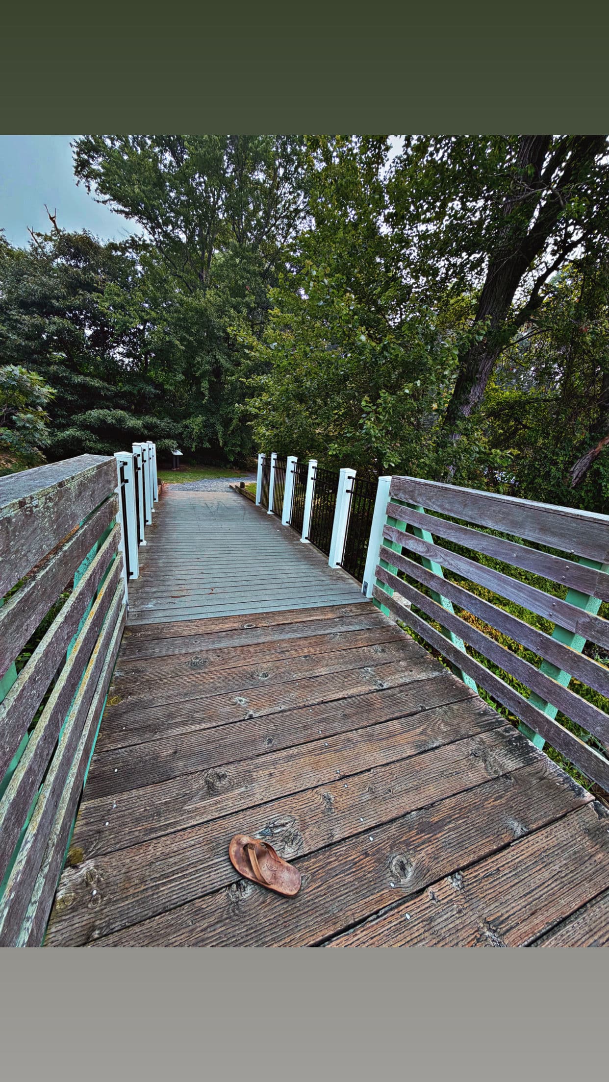 Gallery photos for Wood Bridge Railing Swapped Out for Vinyl and Aluminum: Image #6